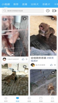 猛犬俱乐部app下载图1