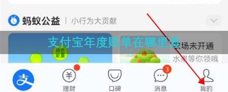 支付宝年度账单在哪里查