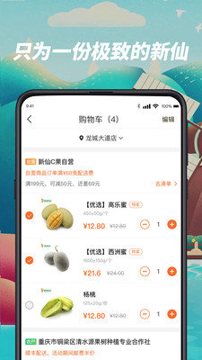 新仙C果图2