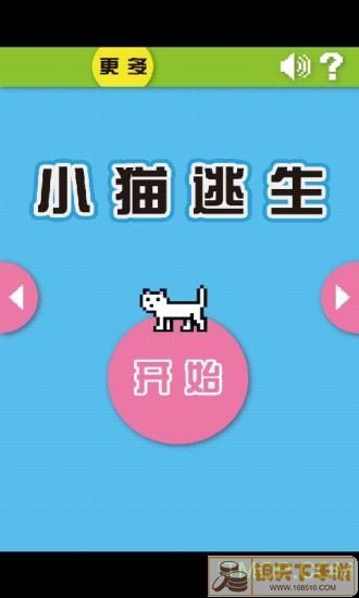 小猫逃生