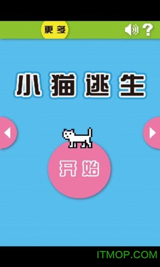 小猫逃生图2