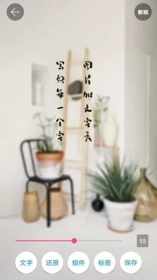 图片加文字秀图0