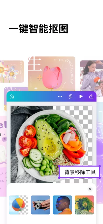 Canva 可画图6