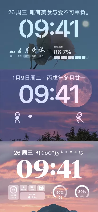 Top Widgets⁺图2