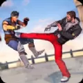 Kung Fu Karate Fighter