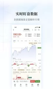 金十数据图3