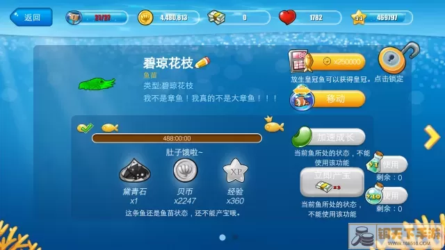 开心水族箱泡泡鱼宝宝怎么孵化出红金鱼？水族箱孵化红金鱼的方法