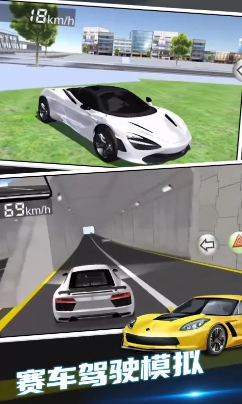 赛车驾驶模拟器2024最新版图3
