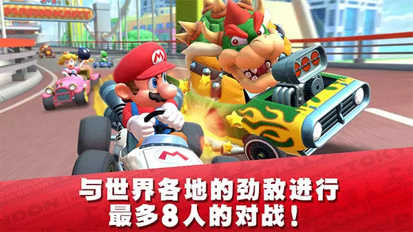 Mario Kart官方版图3