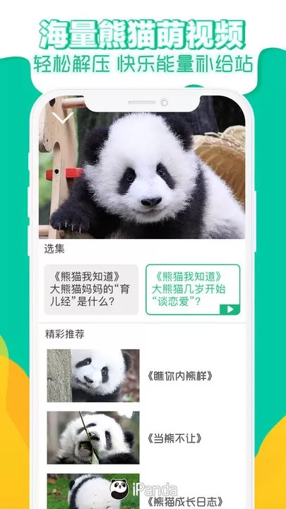 熊猫频道下载安卓版图3