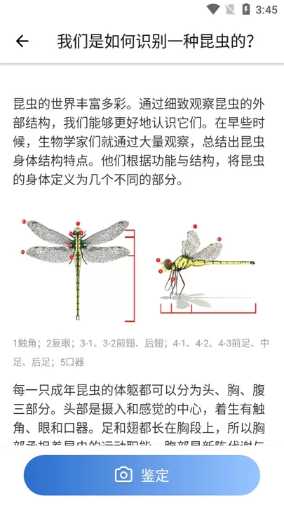 Picture Insect官网版下载图1