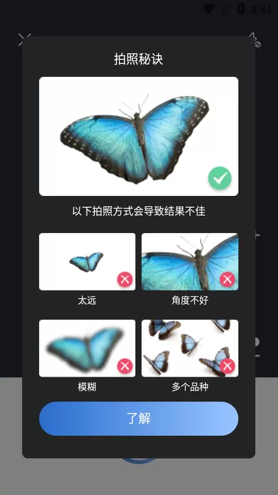 Picture Insect官网版下载图0