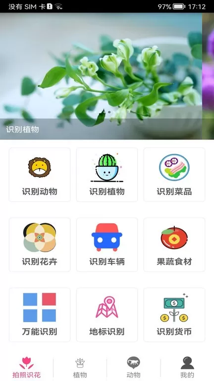 拍照识花神器官网正版下载图0