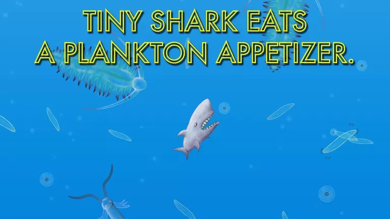 美味海洋鲨鱼版下载免费图3