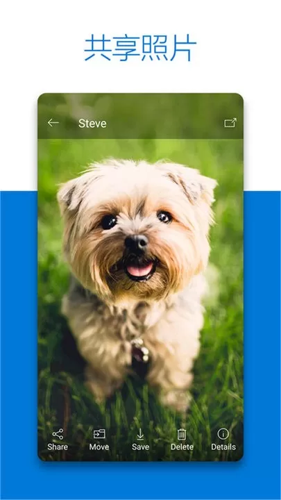 SkyDrive安卓最新版图0
