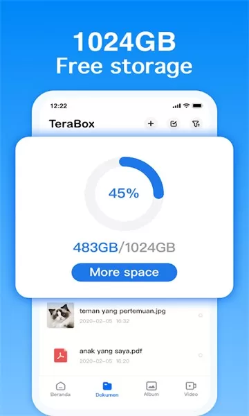 TeraBox安卓下载图2