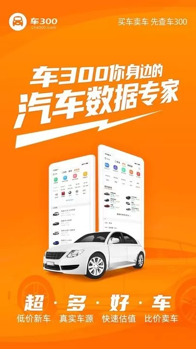 车300二手车最新版图0