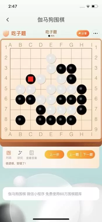 伽马狗围棋下载安卓图1