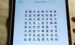 《汉字找茬王》连连成语怎么玩