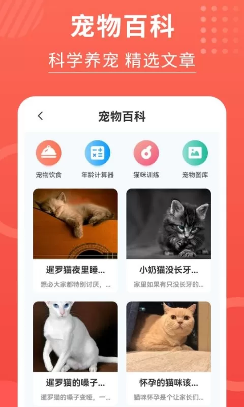 猫猫翻译器官网版最新图0