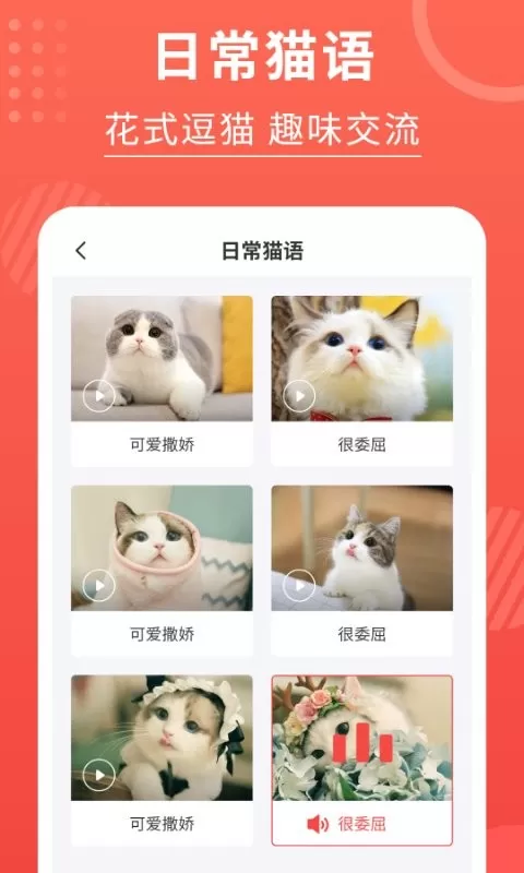 猫猫翻译器官网版最新图3