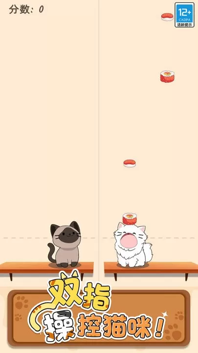 Duet Cats下载旧版图1