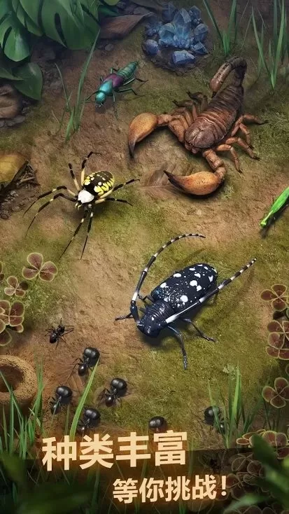 The Ants游戏最新版图3
