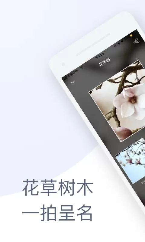 花伴侣下载免费版图2