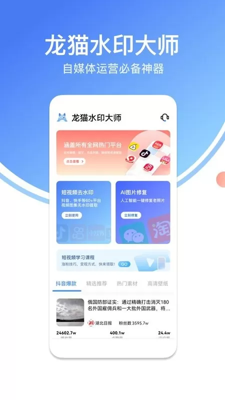 龙猫水印大师下载官方版图0