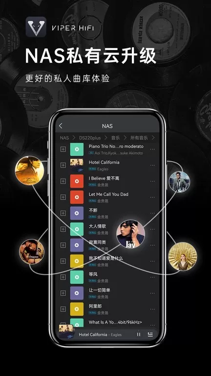 VIPER HiFi下载正版图0