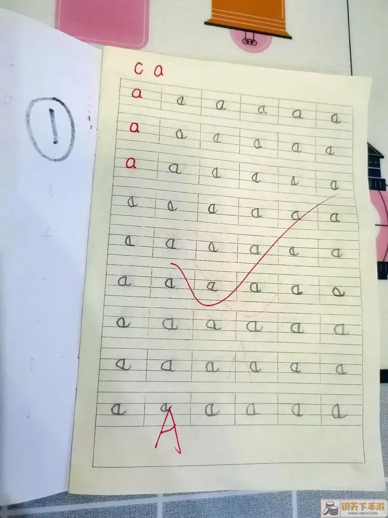 丛林生存拼音怎么写