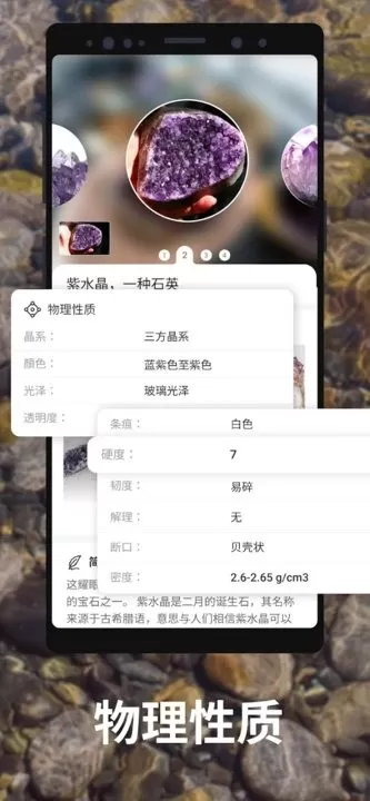 Rock Identifier下载官网版图0