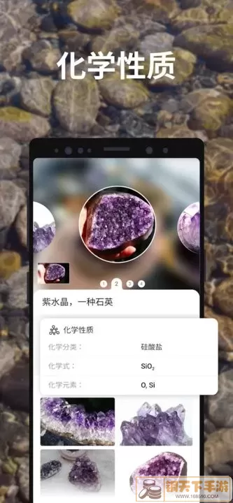 Rock Identifier下载官网版