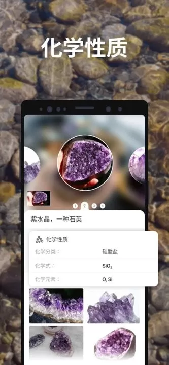 Rock Identifier下载官网版图4