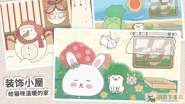 主播和猫的故事下载旧版