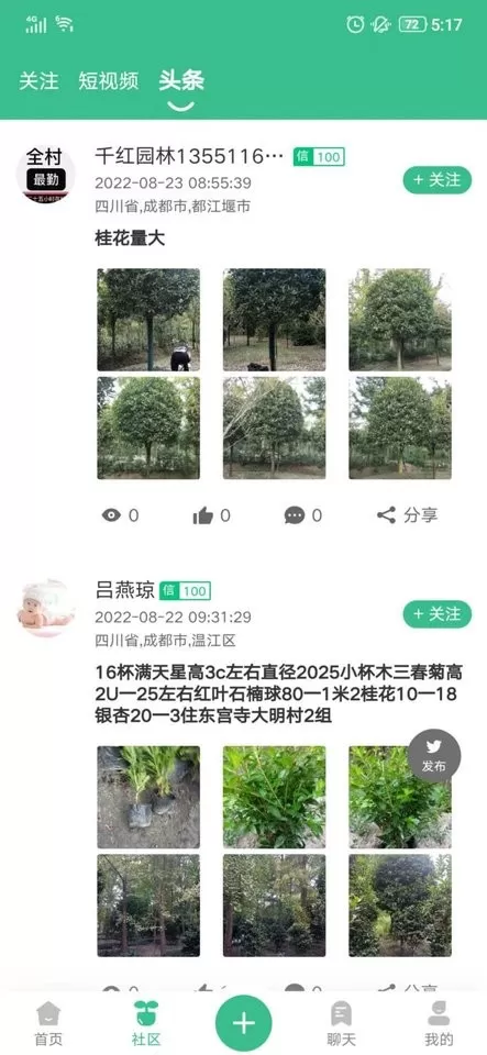 树之道免费版下载图1