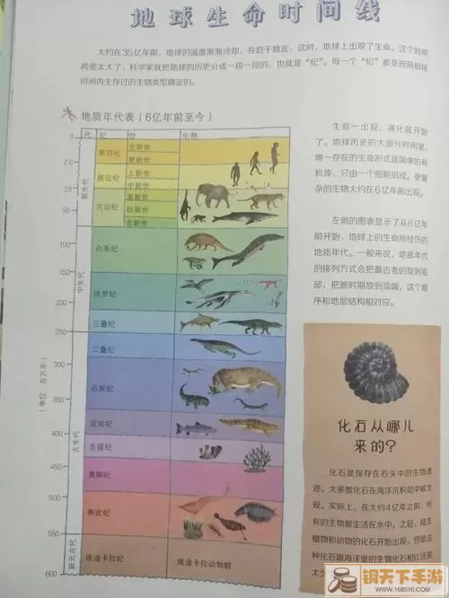 物种起源提出了什么观点