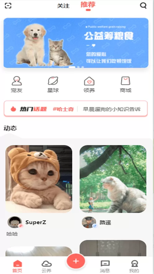 宠夫子最新版本图3