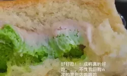 口袋宠物世界面包点几下