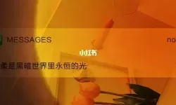 黑暗世界里永恒的光是什么意思