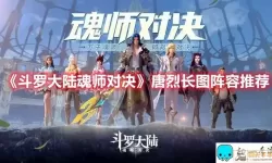 新斗罗大陆ss+魂师排名