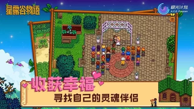 Stardew Valley官方下载图2