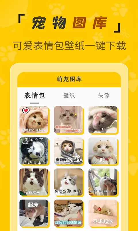 人猫翻译机下载正版图3