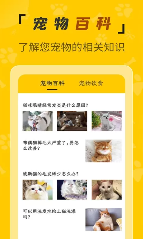 人猫翻译机下载正版图2