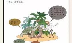 物种起源是什么意思