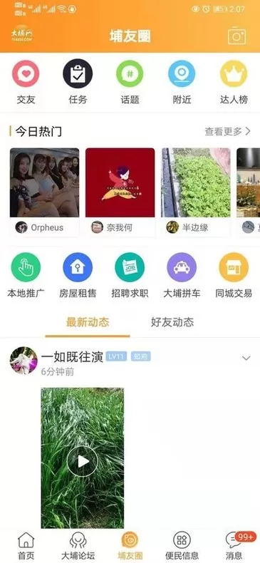 大埔网正版下载图1