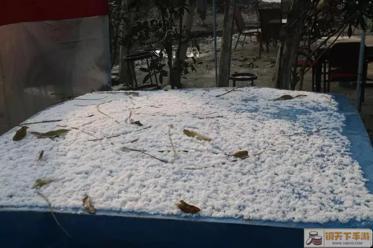 恩施麻将小雪大雪