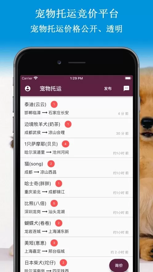 宠物托运官网版最新图3
