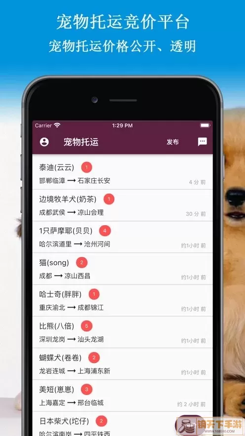 宠物托运官网版最新