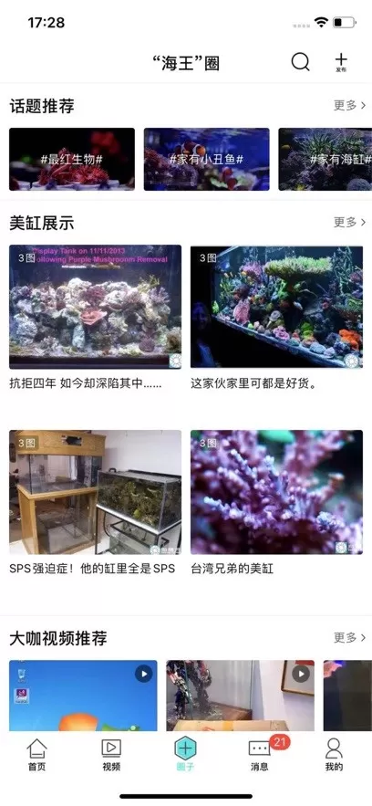 海精灵手机版下载图1